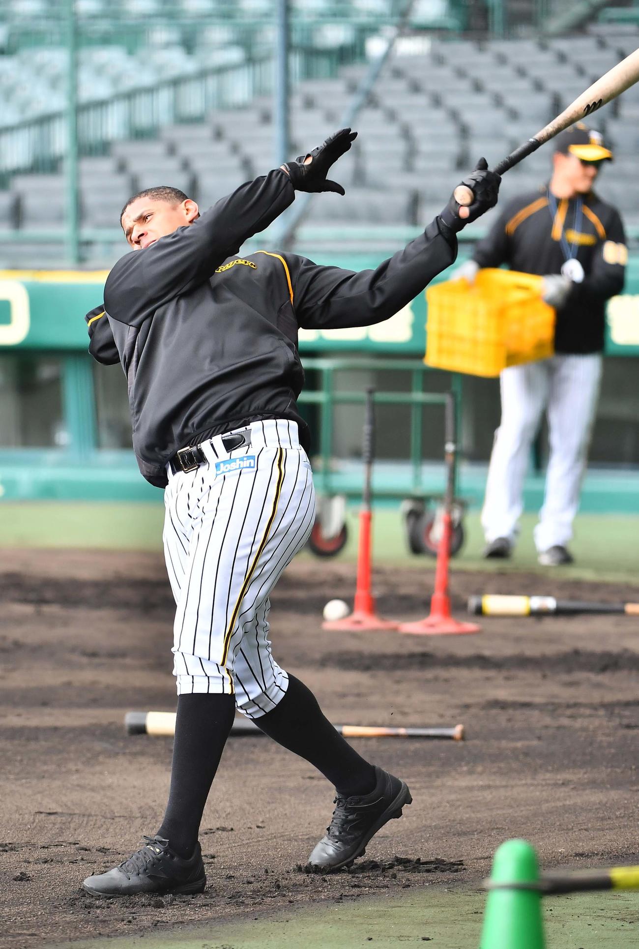 ロング打撃練習で汗を流すマルテ（撮影・上田博志）