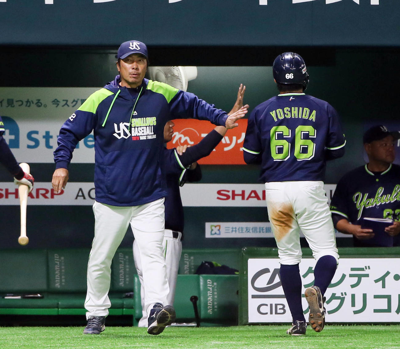 ソフトバンク対ヤクルト　6回、2点適時打を放った吉田大成（右）を出迎える高津監督（撮影・栗木一考）