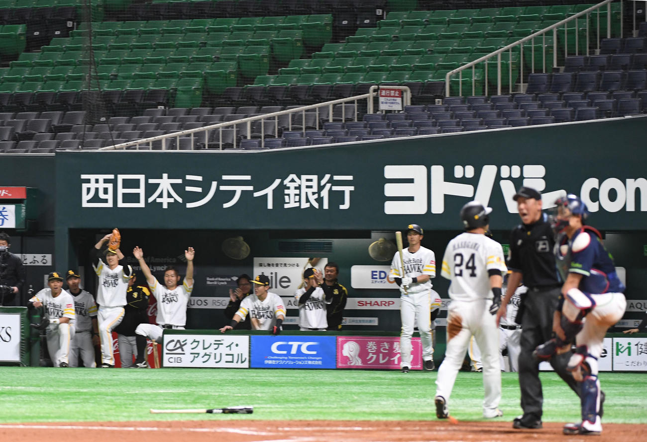 ソフトバンク対ヤクルト　6回裏ソフトバンク2死満塁、川島慶三の逆転打に喜ぶベンチ（撮影・今浪浩三）