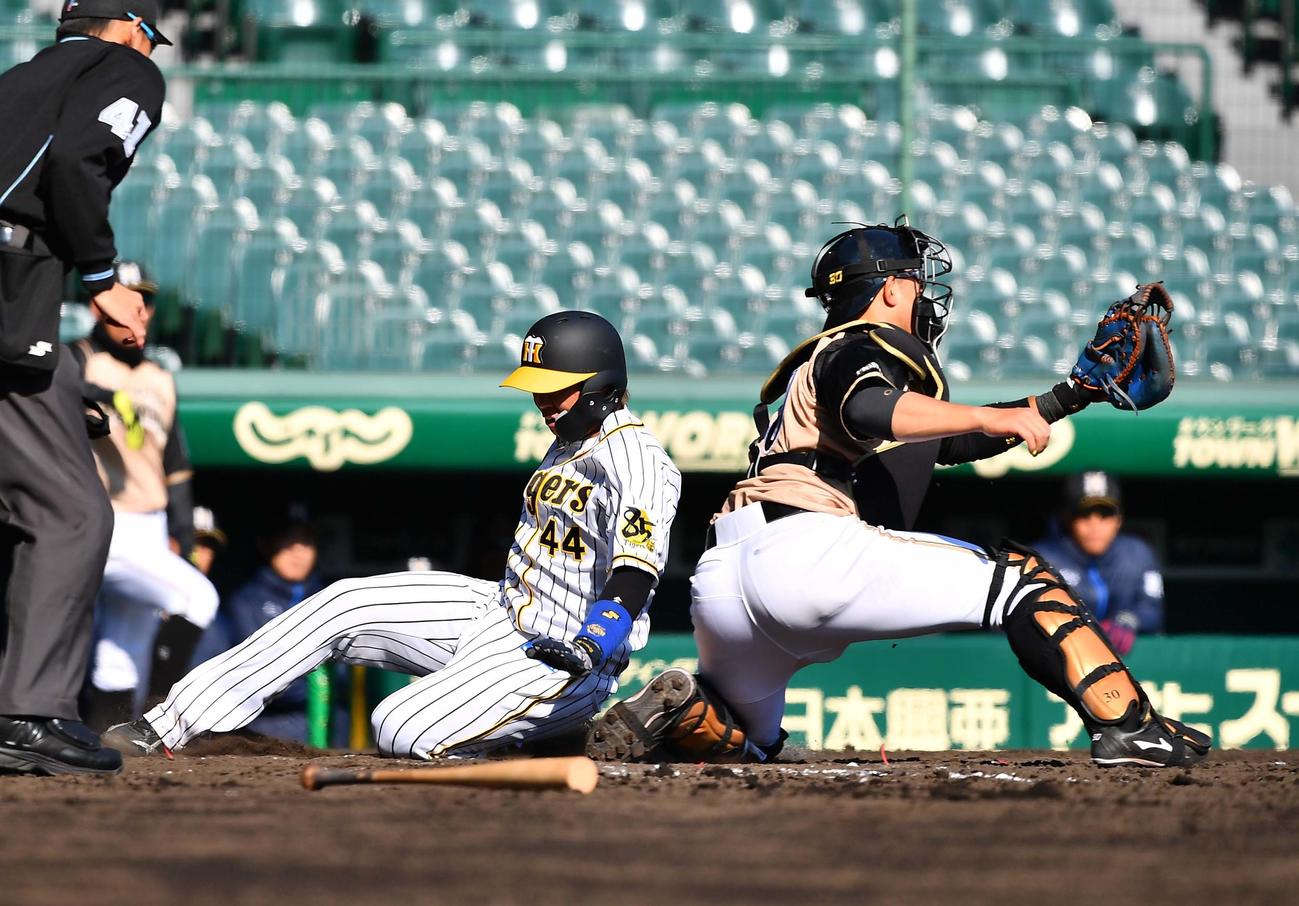 阪神対日本ハム　5回裏阪神1死満塁、近本の左飛で生還する梅野（撮影・上田博志）