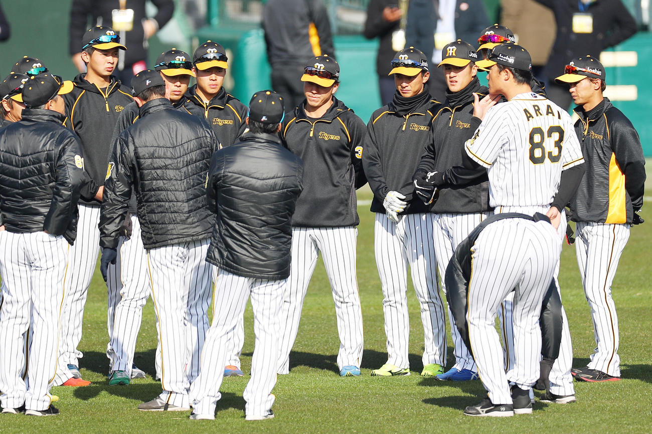 阪神対日本ハム　1軍に合流した井上（後方左端）と遠藤（同左から3人目）（撮影・前田充）