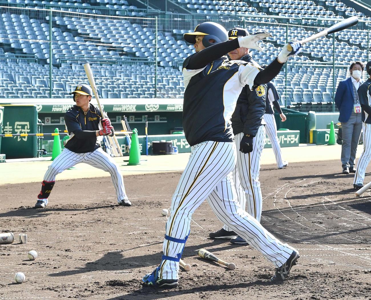 阪神対日本ハム　1軍に合流し甲子園での練習で汗を流す井上広大（右）と遠藤成（撮影・上田博志）