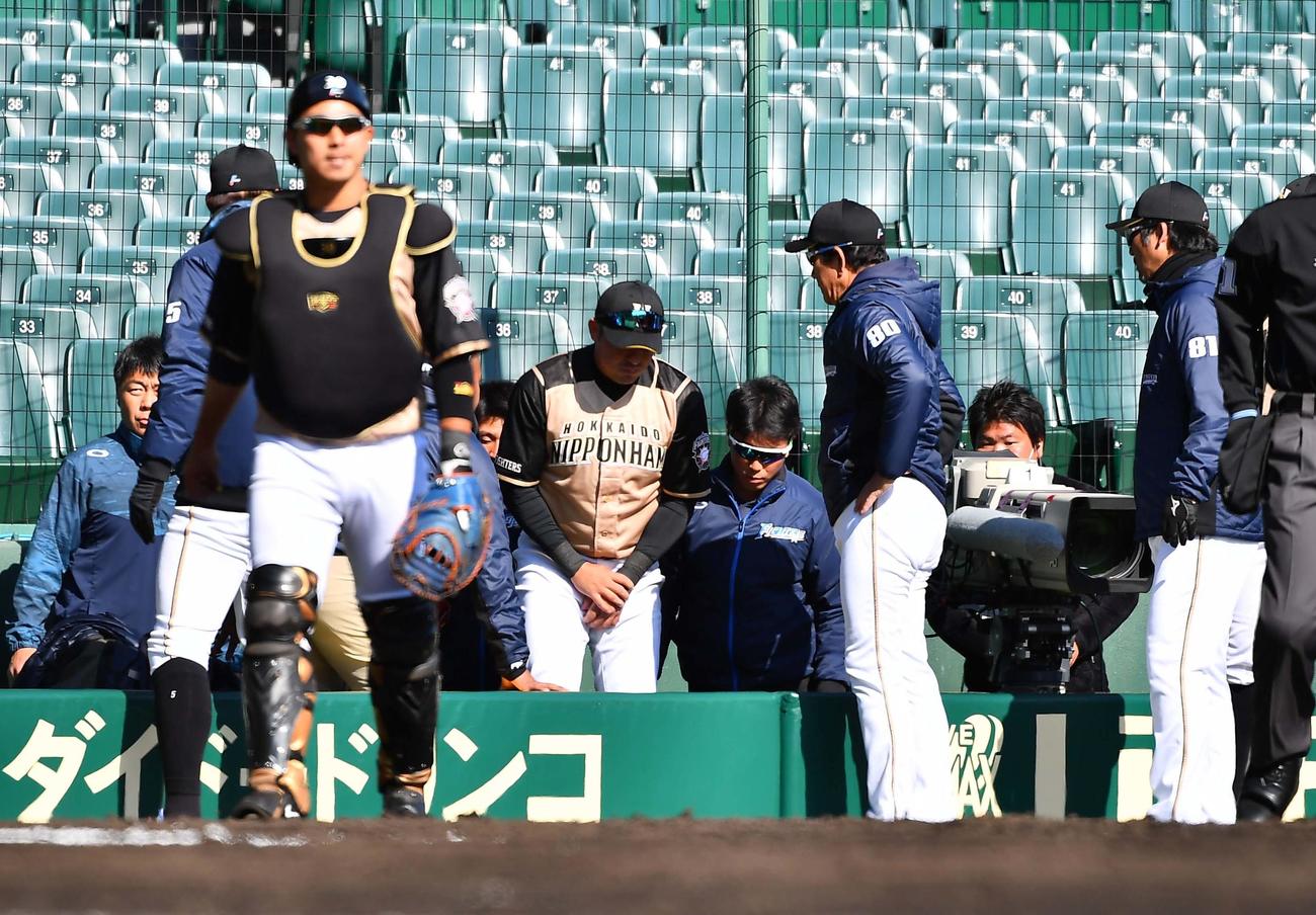 阪神糸原の三邪飛を追いカメラマン席に落下するビヤヌエバ（2020年3月6日撮影）