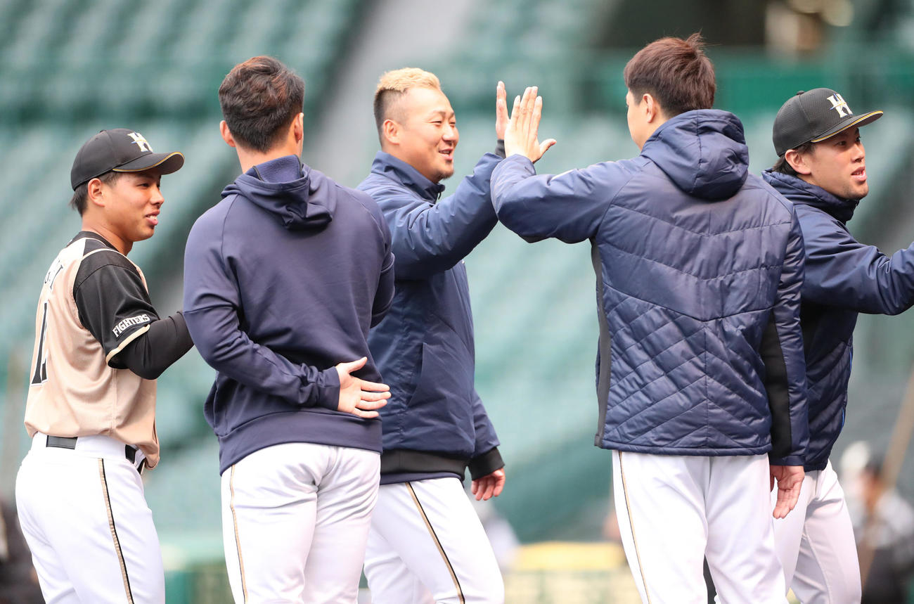 阪神対日本ハム　甲子園で勝利し笑顔でタッチを交わす中田翔（中央）（撮影・清水貴仁）