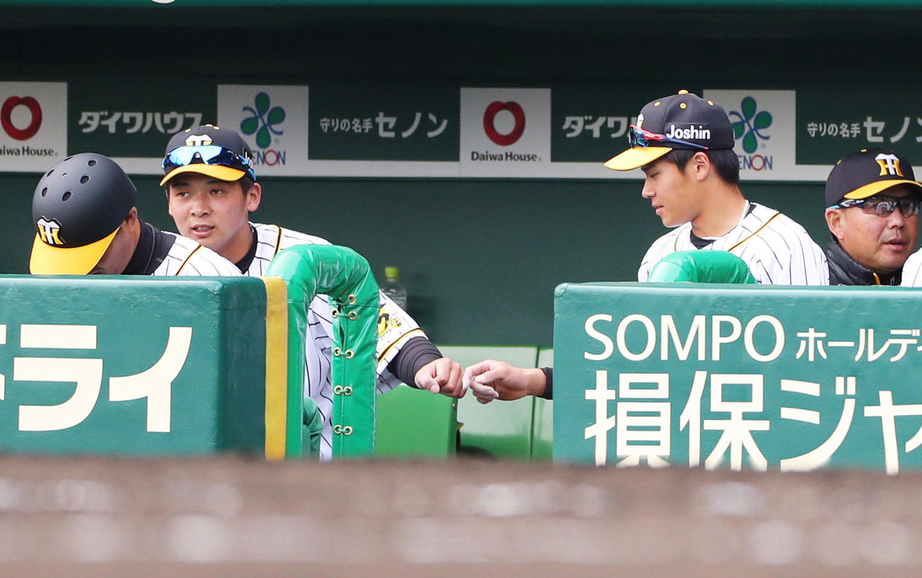 阪神対日本ハム　7回に守備機会があった遠藤成（右）とタッチを交わす井上広大（撮影・清水貴仁）