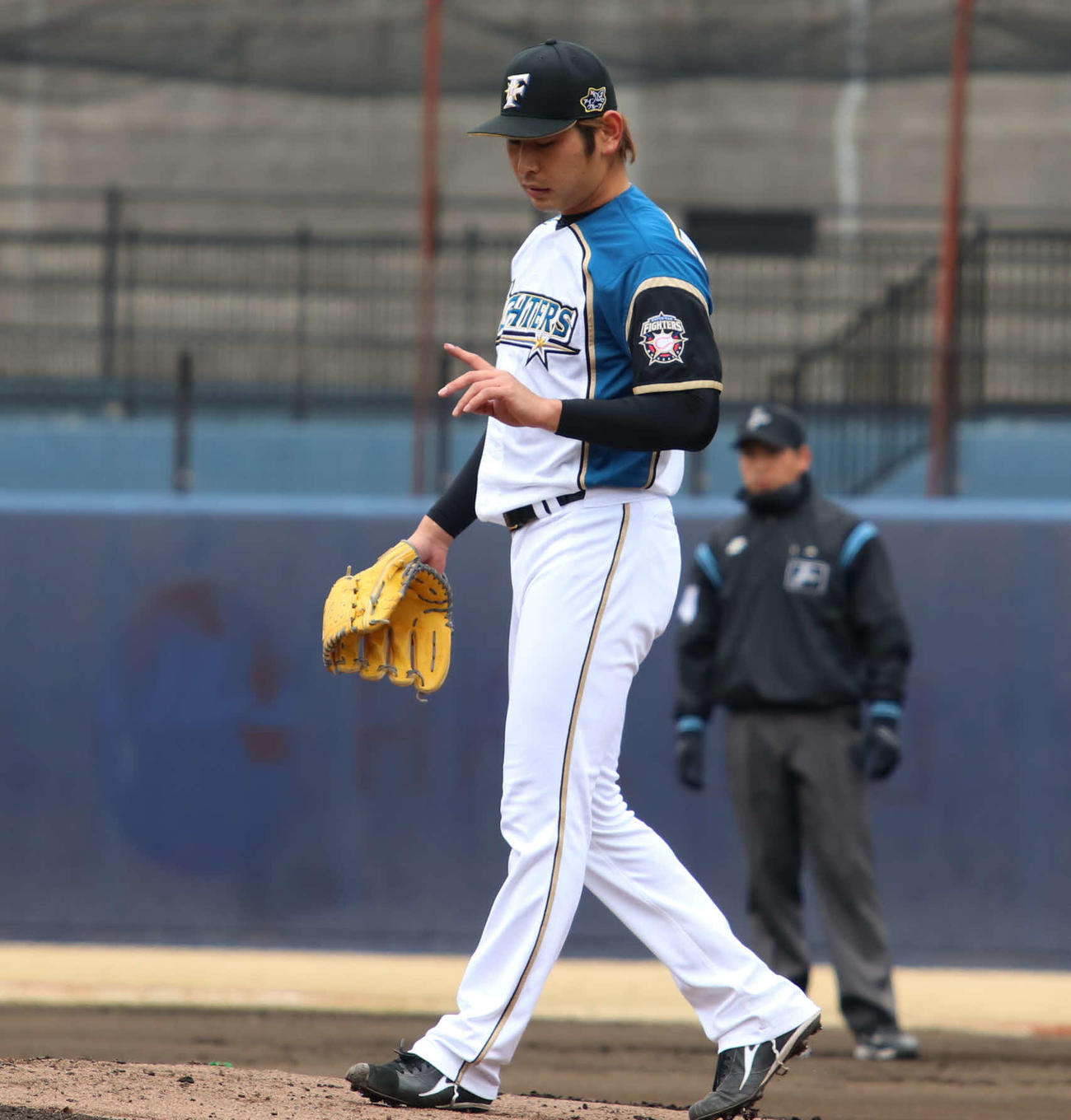 日本ハム対楽天　2回表楽天先頭の和田の打球が左手を直撃し、指先を気にする日本ハム加藤（撮影・山崎純一）
