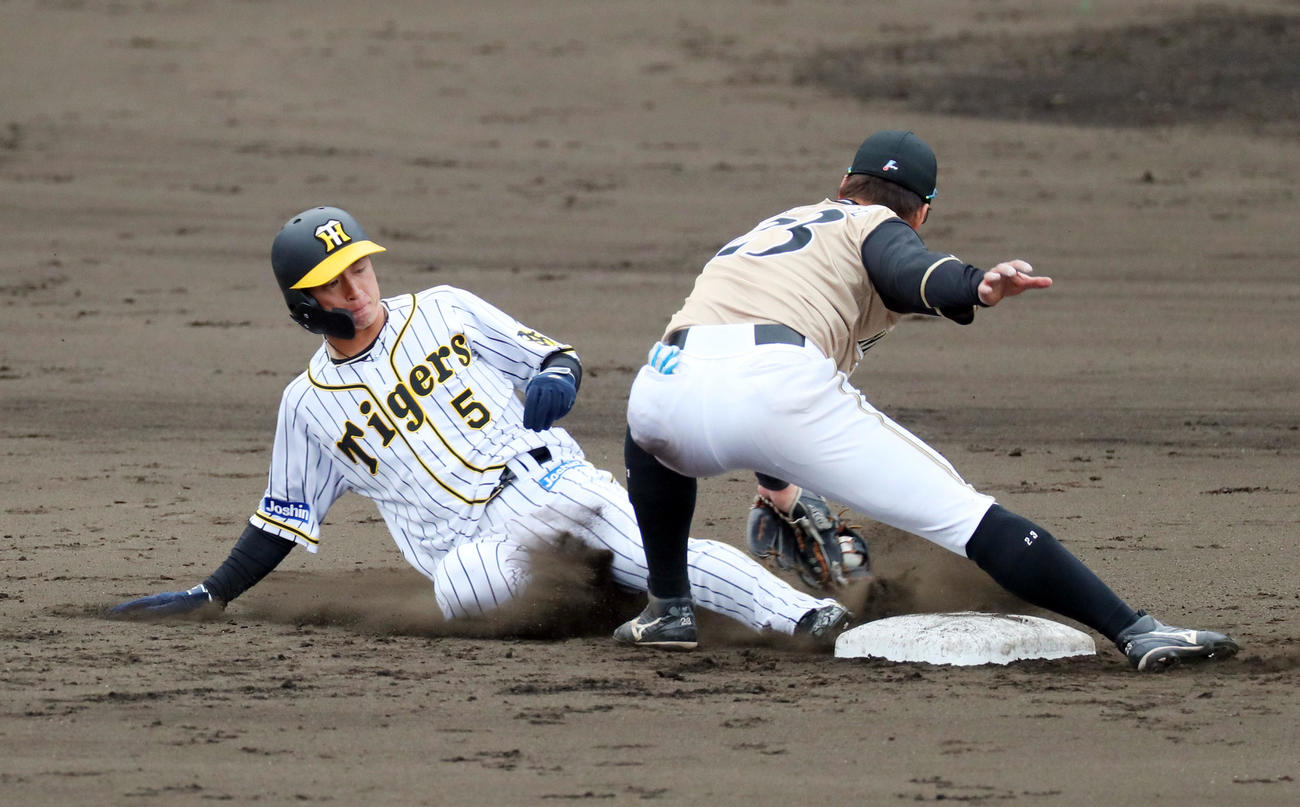 阪神対日本ハム　7回裏阪神2死一塁、近本は二盗を決める（撮影・前田充）