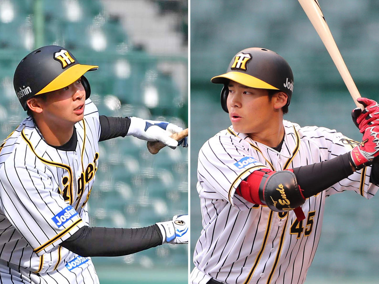 阪神井上広大（左）と遠藤成