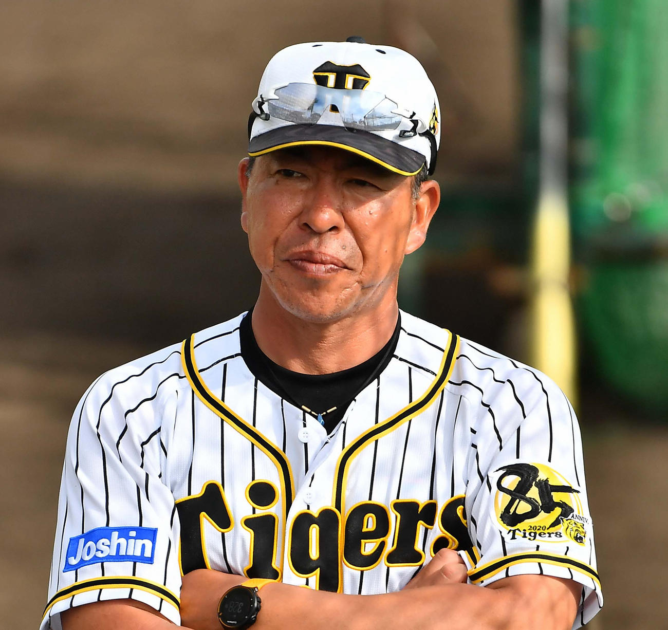 阪神井上打撃コーチ
