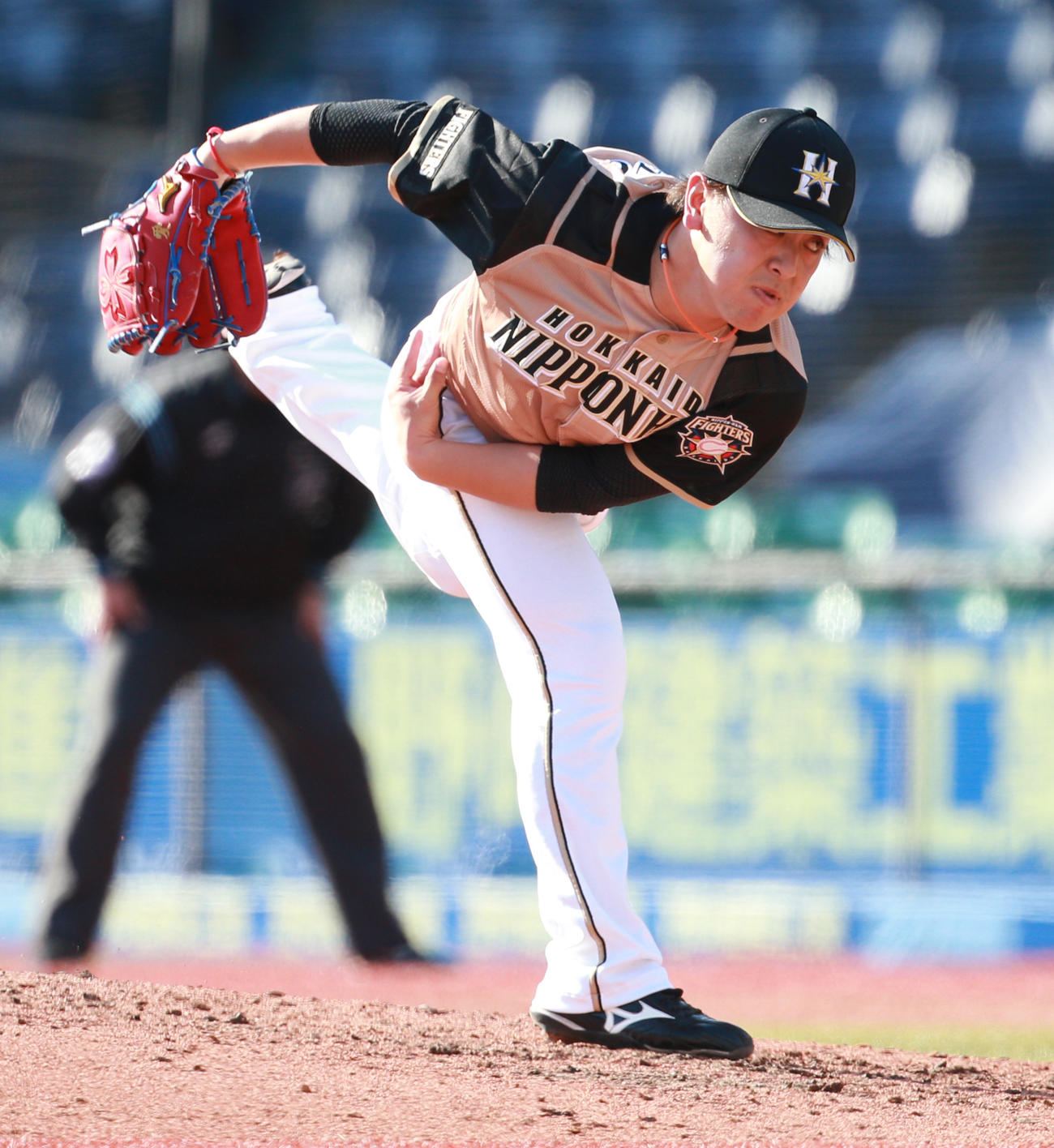 ロッテ対日本ハム　力投する日本ハム河野（撮影・中島郁夫）