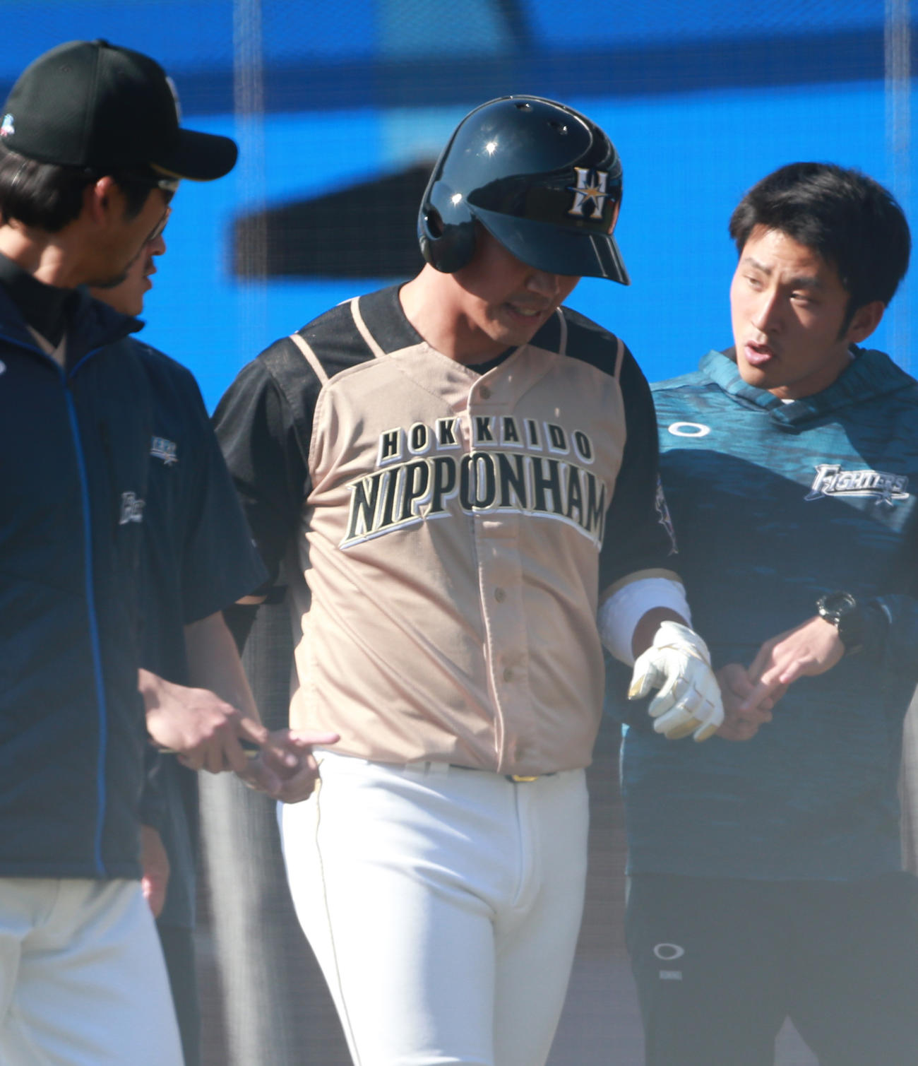 ロッテ対日本ハム　6回表日本ハム2死、死球で退場する王（撮影・中島郁夫）