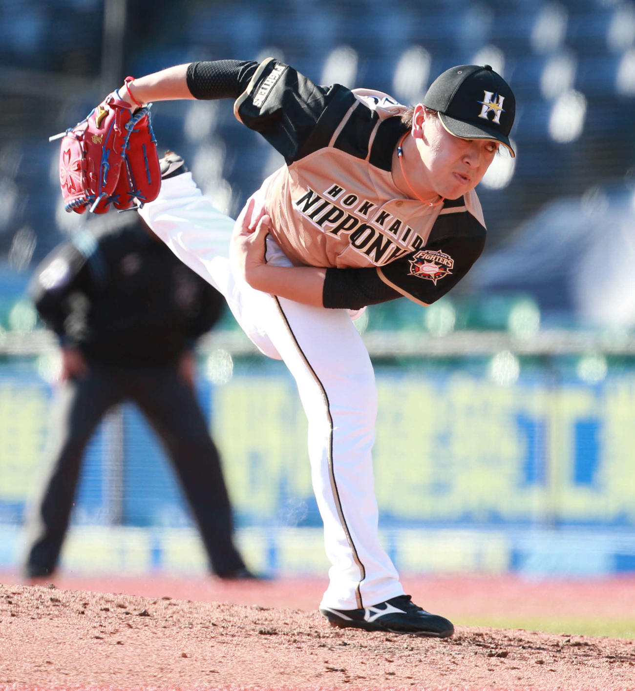 ロッテ対日本ハム　力投する日本ハム河野（撮影・中島郁夫）