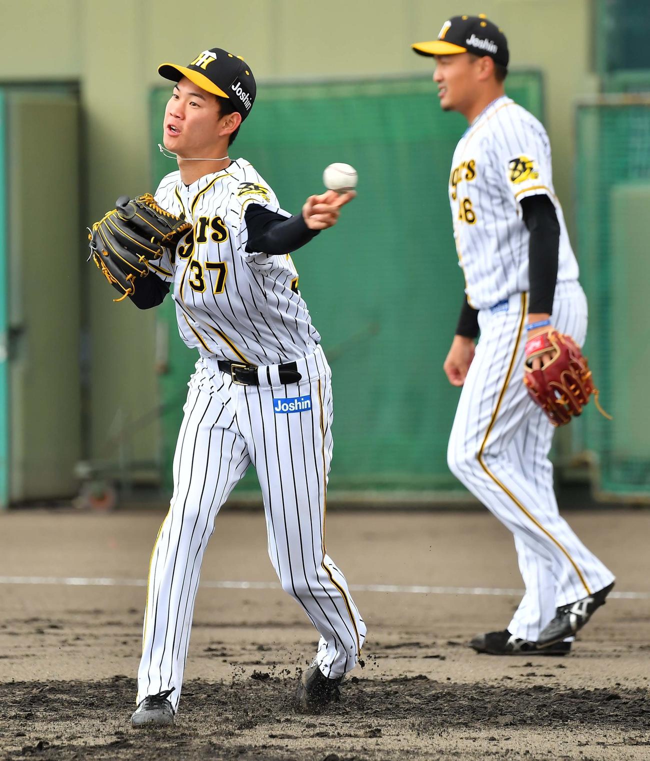 投内連係プレーの練習で汗を流す及川雅貴（撮影・上田博志）