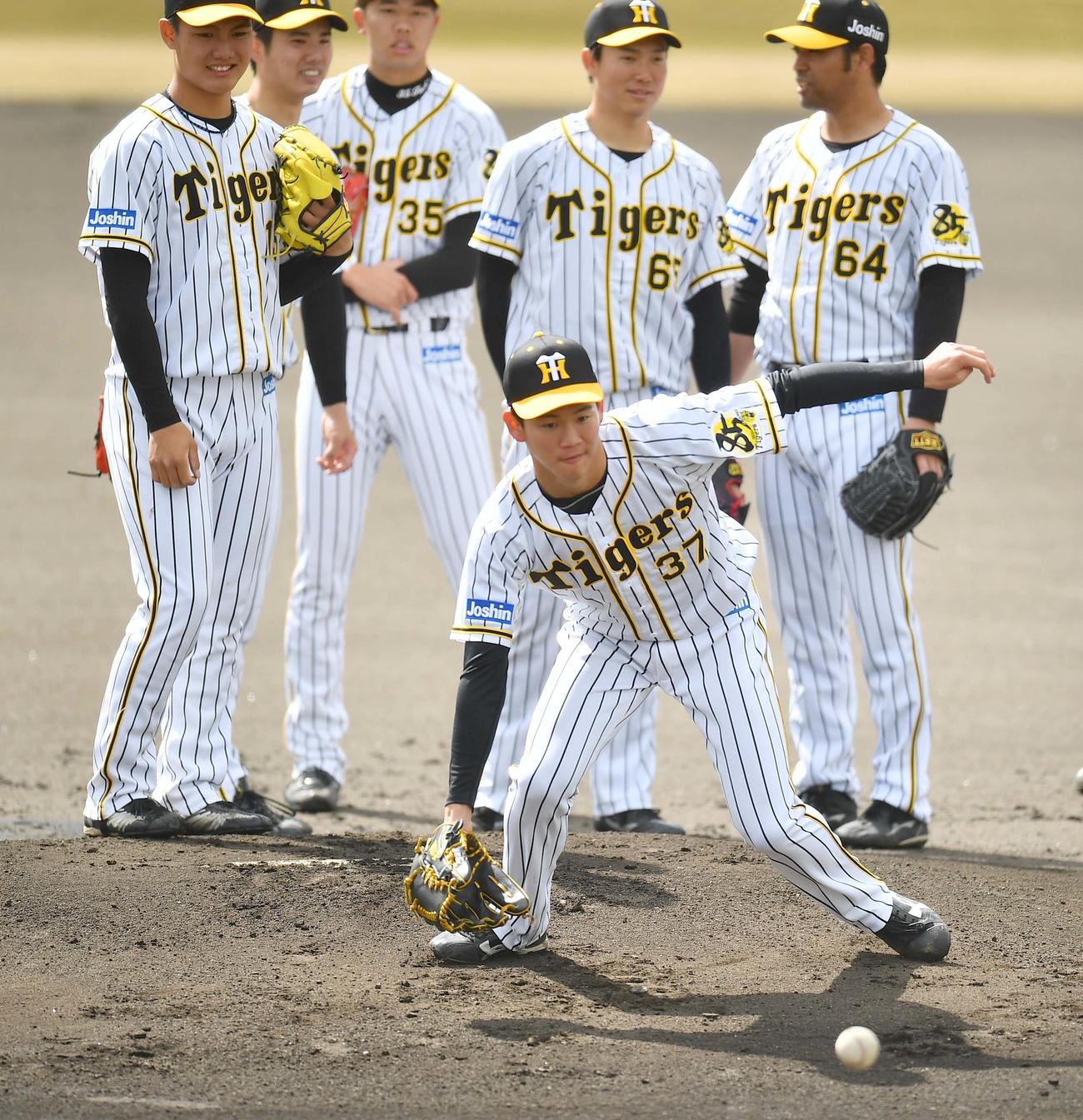 ノックを受ける及川雅貴（撮影・上田博志）