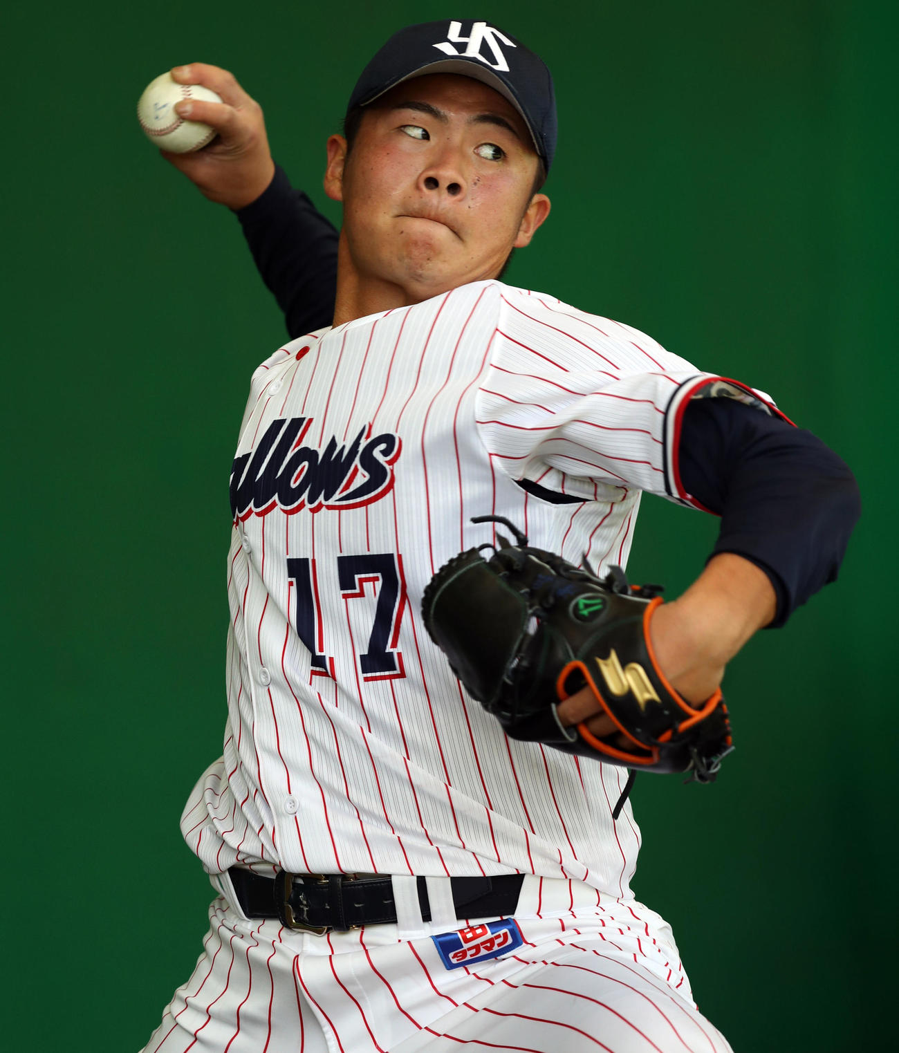 ヤクルト清水