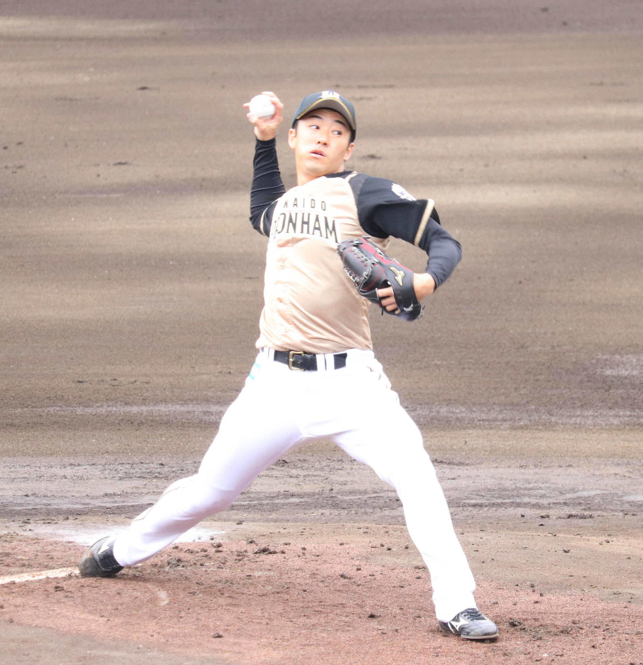 日本ハム斎藤佑樹（2020年3月4日撮影）