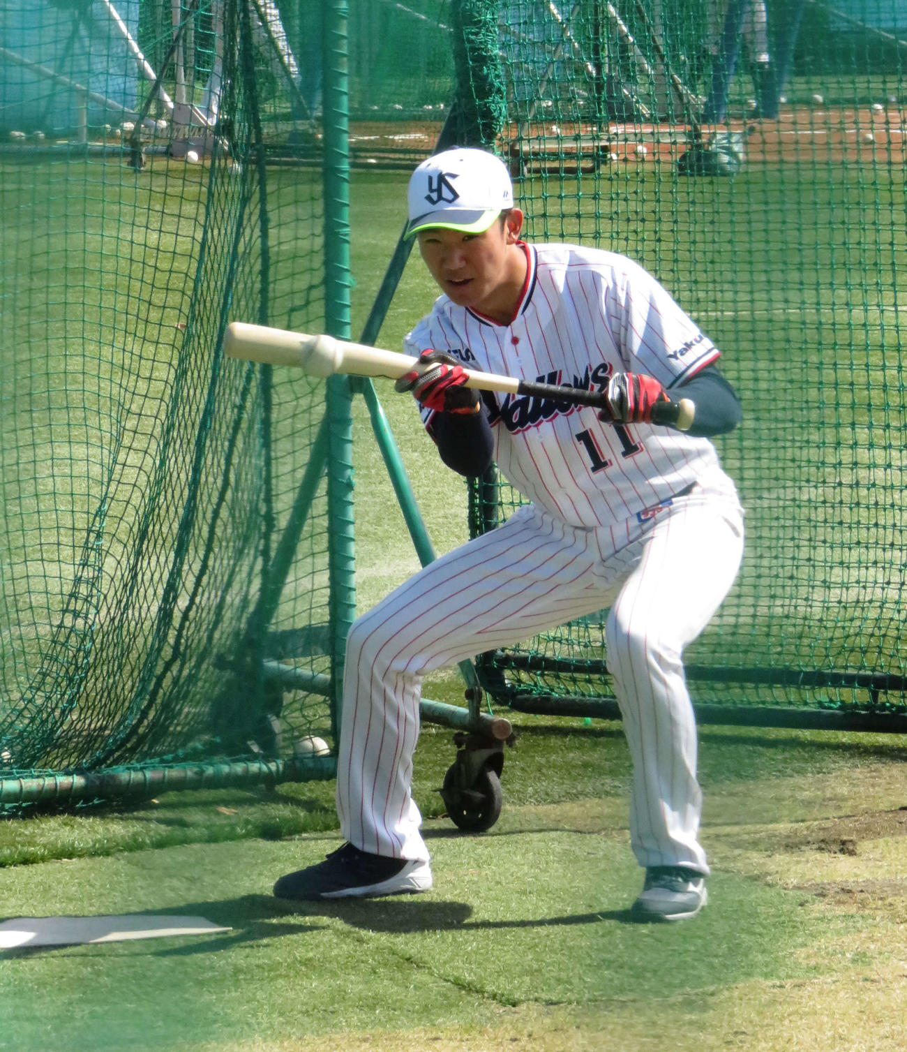 バント練習をするヤクルトのドラフト1位、奥川