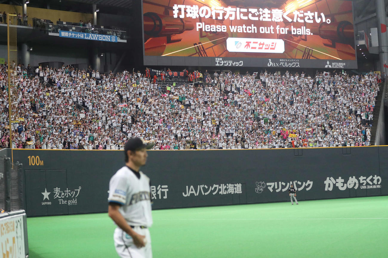 日本ハム中田の打席のときに中田ジャンプがわき起こる（2016年9月17日撮影）