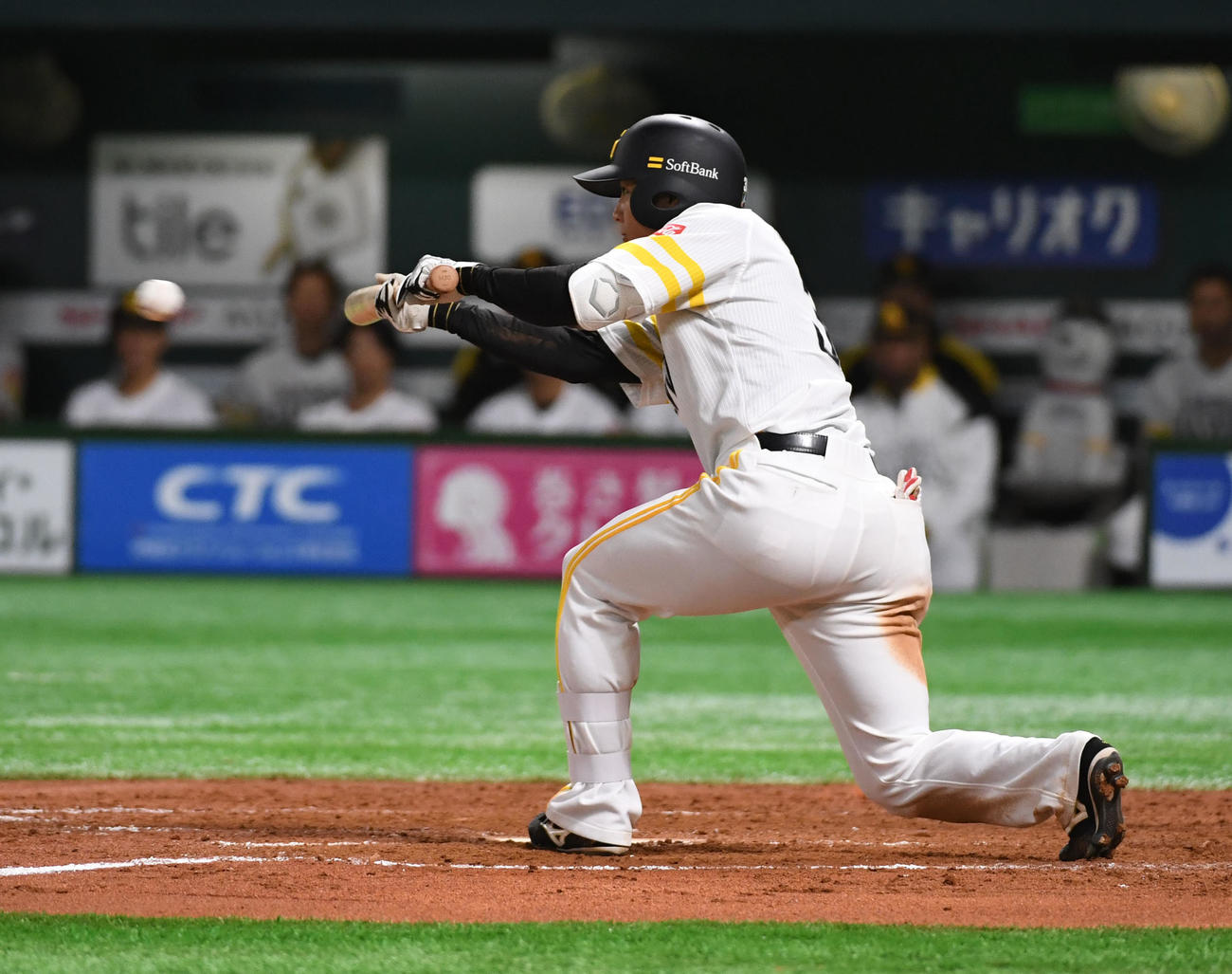 ソフトバンク佐藤は一塁走前に送りバントを決める（撮影・今浪浩三）