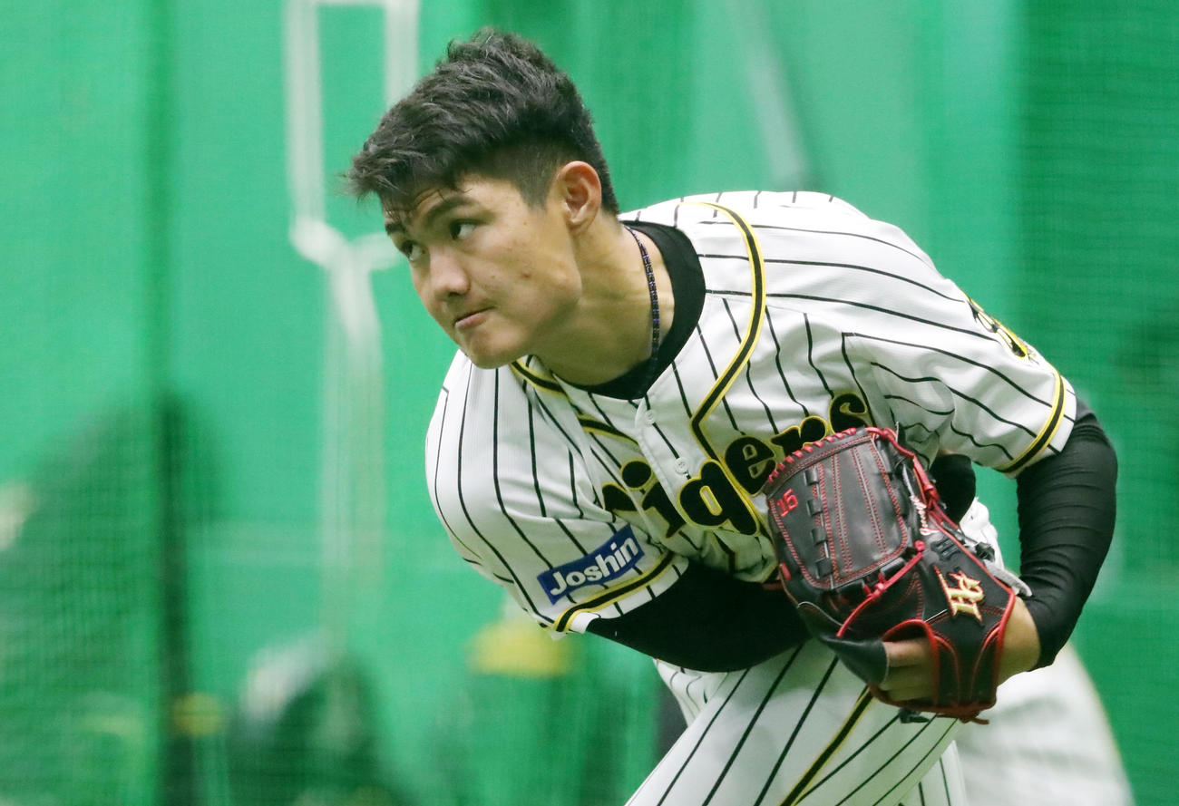 雨天中止となり甲子園でキャッチボールを行った西純（撮影・加藤哉）
