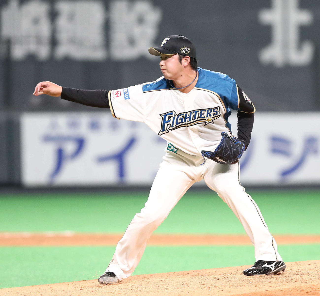 日本ハム対DeNA　9回に登板し無失点に抑える長谷川（撮影・黒川智章）