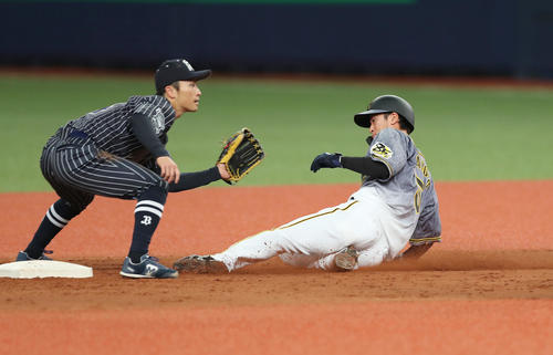 阪神近本秋の成果出た 技ありスライディングで生還 プロ野球写真ニュース 日刊スポーツ