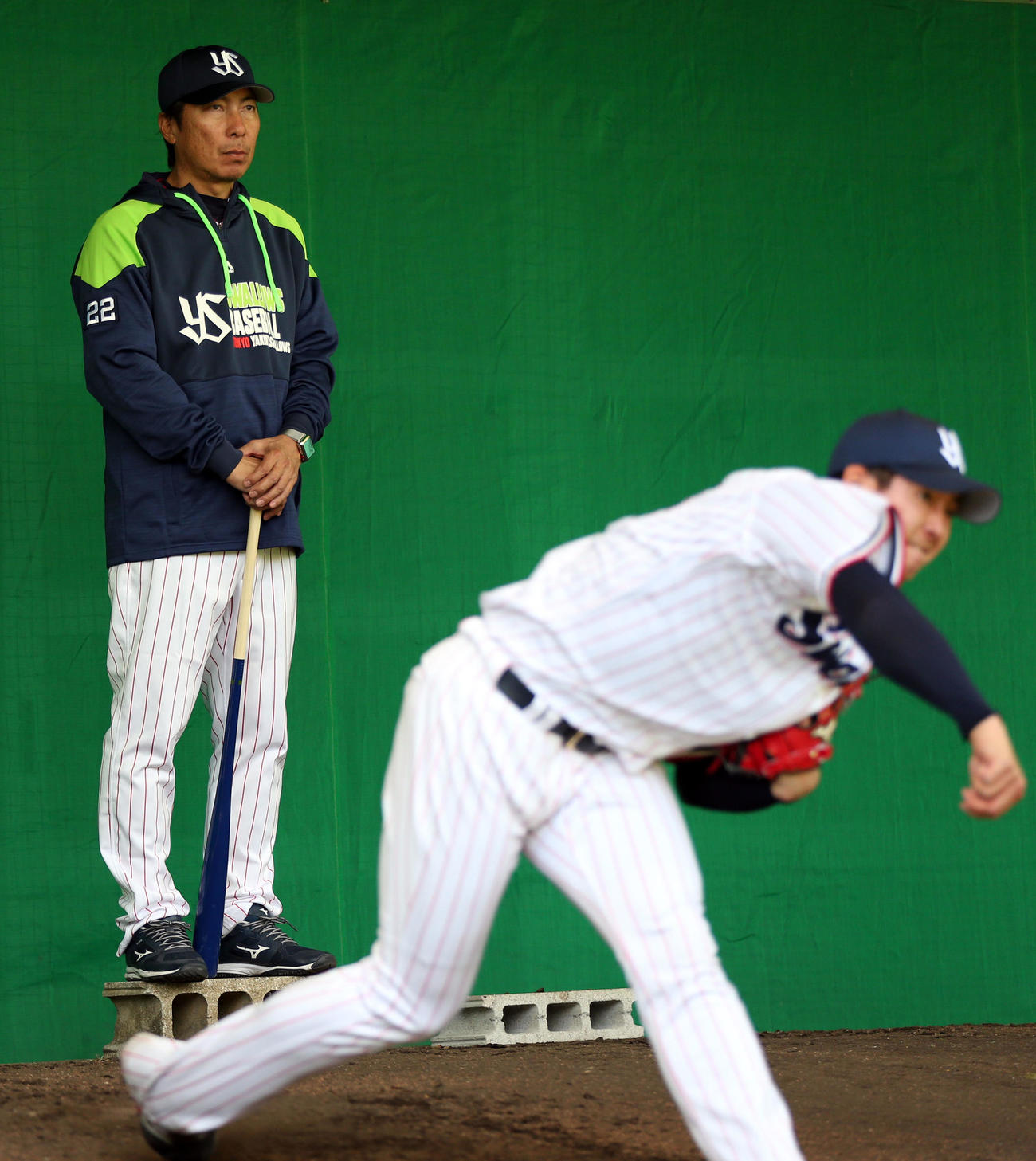梅野の投球を見つめる高津監督（2020年2月1日撮影）