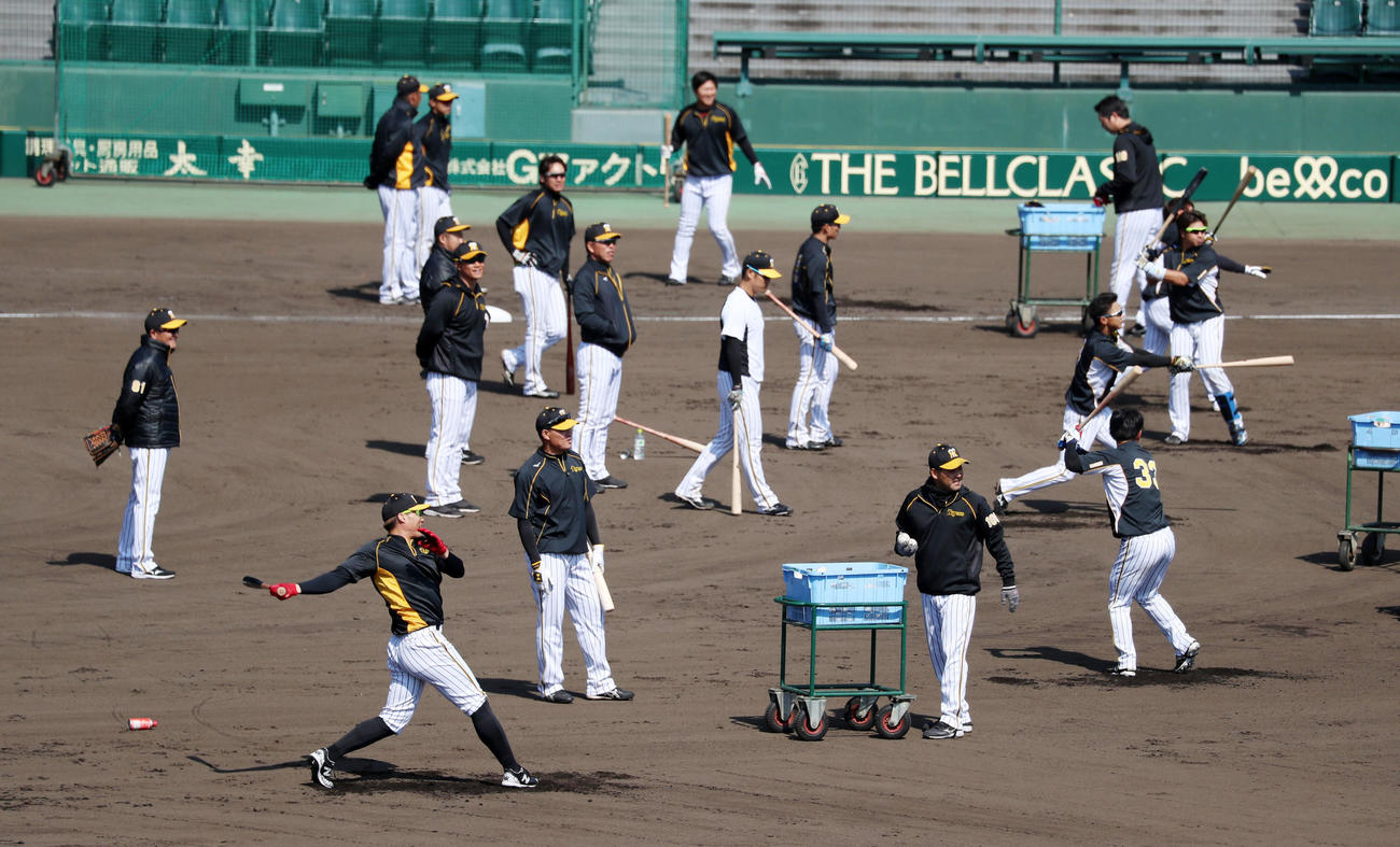 外国人を除いた野手でロングティー打撃を行う阪神ナインたち（撮影・加藤哉）