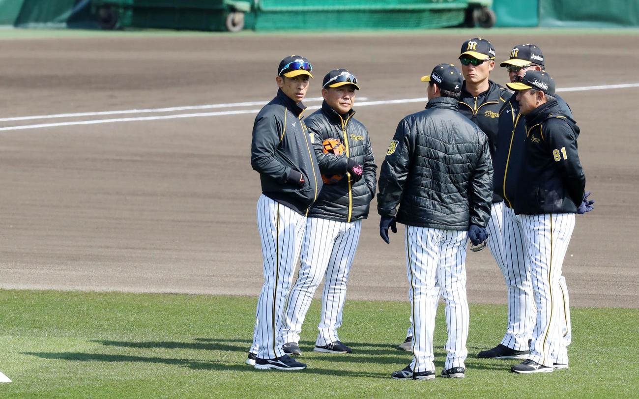 コーチ陣と話す矢野監督（撮影・加藤哉）