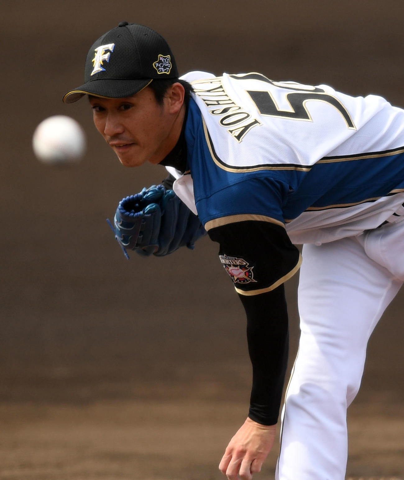 力投する日本ハム先発の吉川（撮影・横山健太）