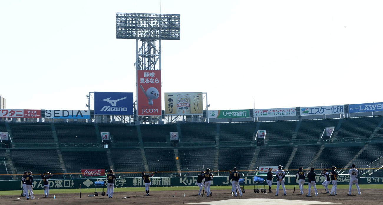 ロングティーを行う阪神野手陣。スタンド中央の黄色いカゴが井上コーチが設定した「当てたら何でも言うこと聞く権」の的（撮影・前岡正明）