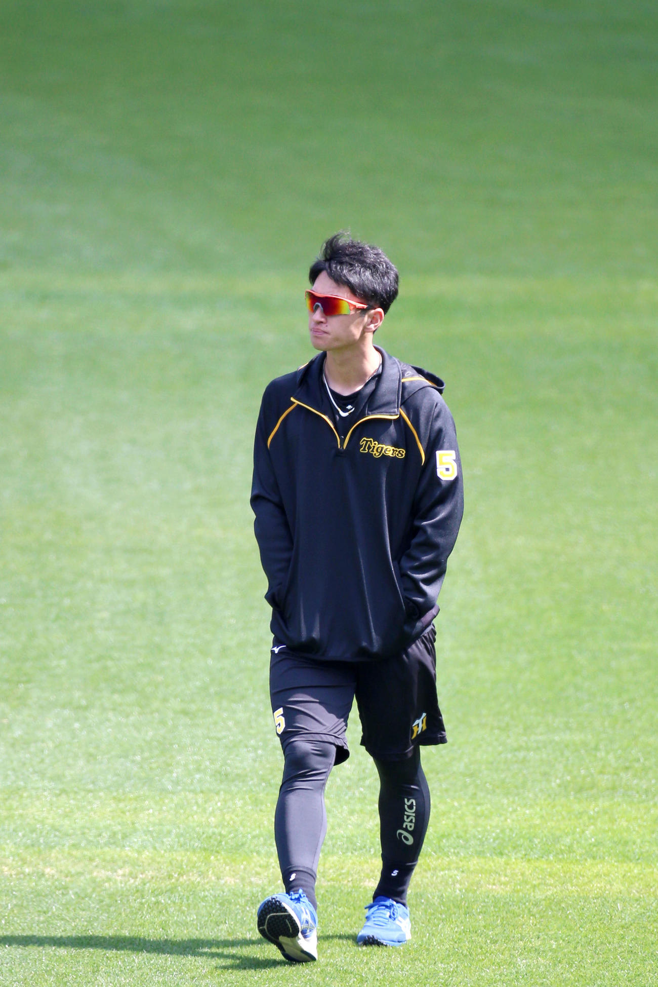 阪神近本は甲子園に現れ球場を見渡しながら外野を歩く（撮影・上山淳一）