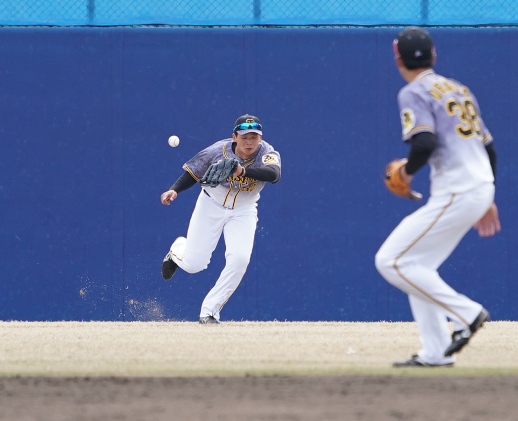 プロ野球ウエスタン練習試合　中日対阪神　3回裏中日2死、石川昂弥の打球を失策する井上広大（撮影・森本幸一）