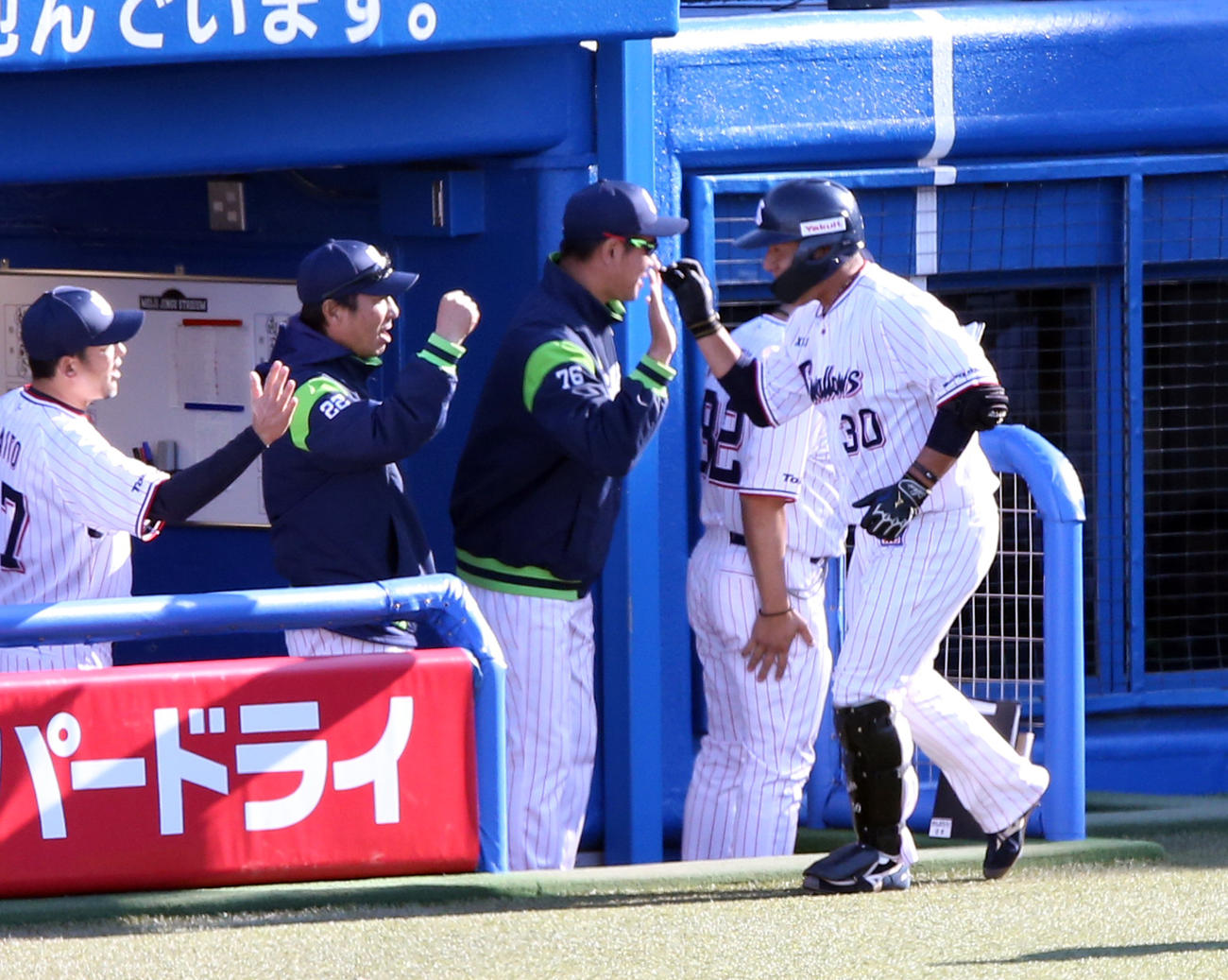 ヤクルト対阪神　7回裏ヤクルト無死、西田（右）は中越えソロ本塁打を放ち、高津監督（左から2人目）らとハイタッチ（撮影・浅見桂子）