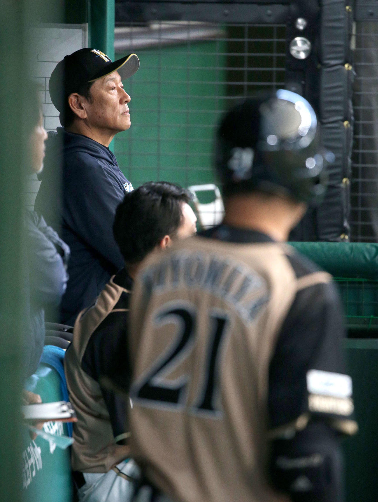 西武対日本ハム　ベンチから試合を見つめる日本ハム栗山監督。右手前は打順を待つ清宮（撮影・佐藤翔太）