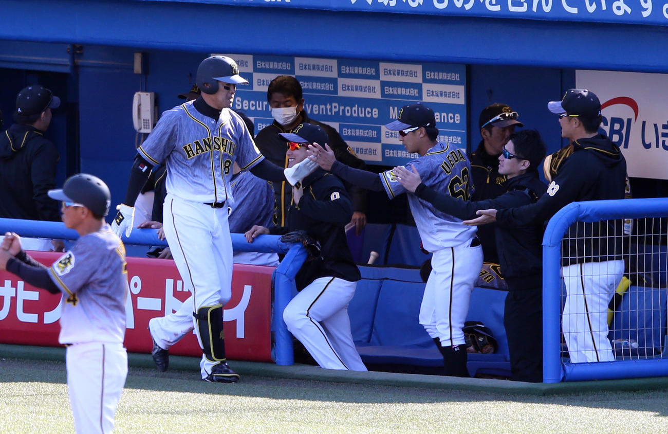 ヤクルト対阪神　7回表阪神無、福留は右前打を放つと、交代しベンチのナインとハイタッチ（撮影・浅見桂子）