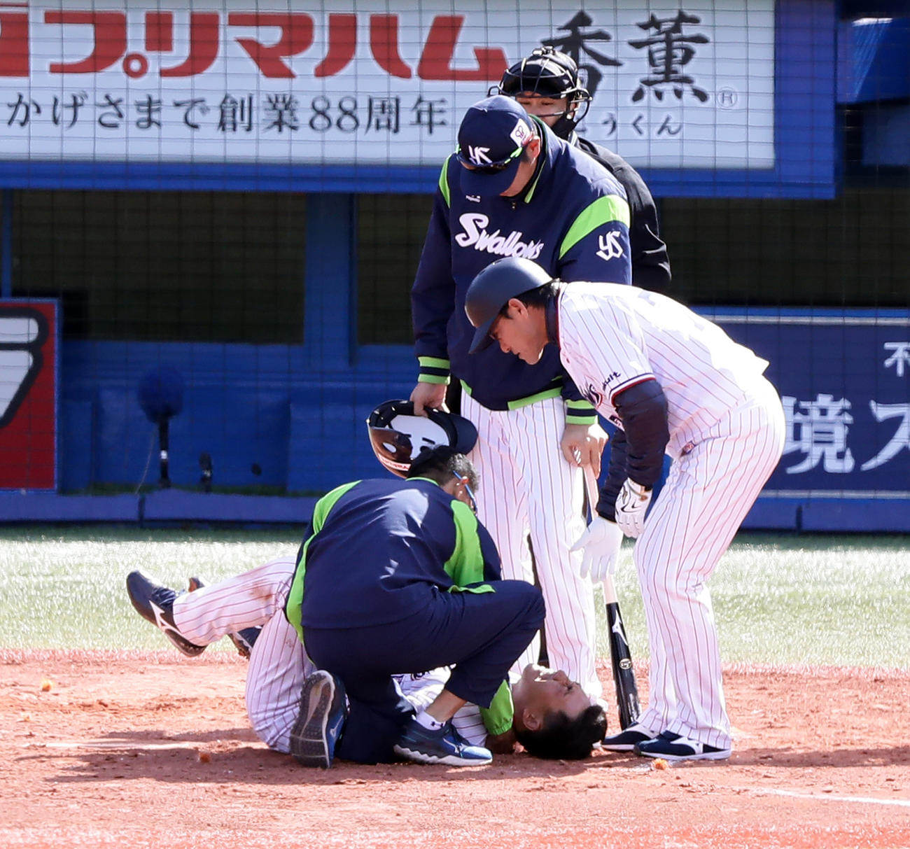 ヤクルト対阪神　4回裏ヤクルト1死、嶋は死球を受けて倒れ痛がる（撮影・浅見桂子）