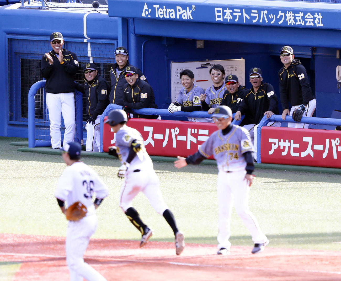 ヤクルト対阪神　7回表阪神2死満塁、左翼に満塁本塁打を放った植田（手前）を、笑顔で見つめる矢野監督（左から4人目）ら（撮影・浅見桂子）