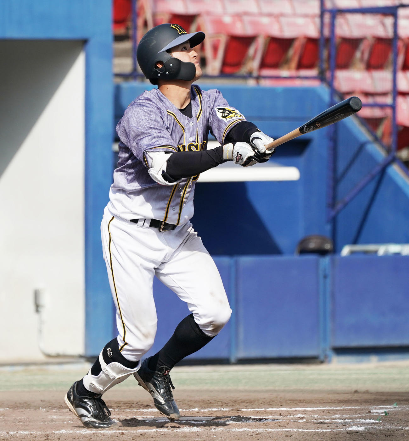 プロ野球ウエスタン練習試合　中日対阪神　7回表阪神1死、右越え本塁打を放った板山祐太郎（撮影・森本幸一）