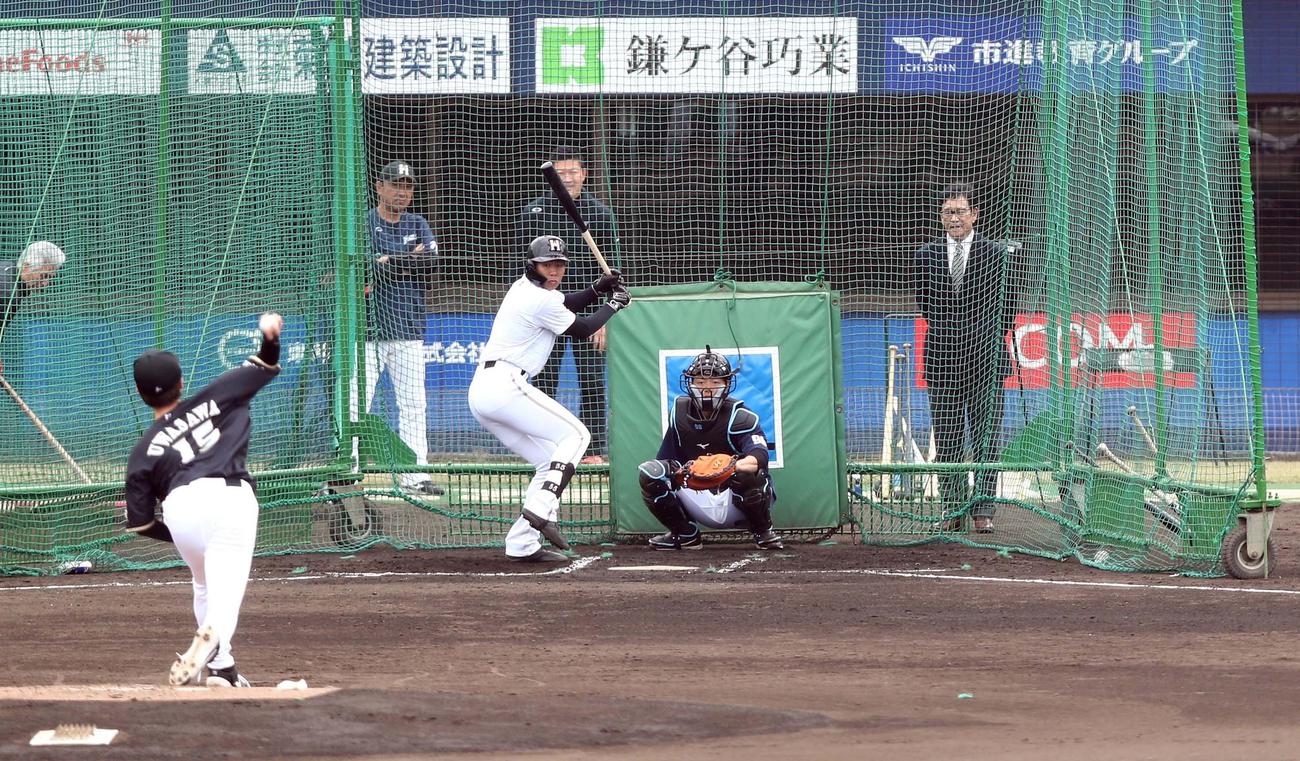 打撃投手を務める上沢を視察する栗山監督（右）（撮影・黒川智章）