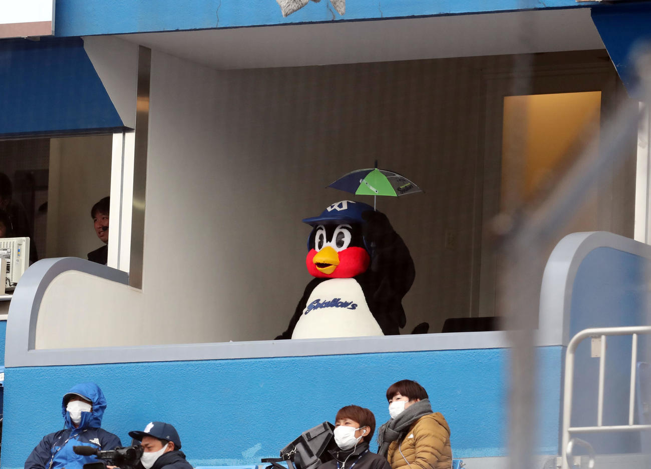 20年3月7日のオープン戦　ヤクルト対ロッテ　7回、スタンドで盛り上がるつば九郎（撮影・垰建太）