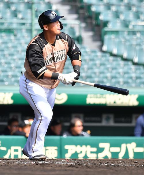 日本ハム中田「優勝で元気を」“レベチ”主砲の誓い - プロ野球 : 日刊