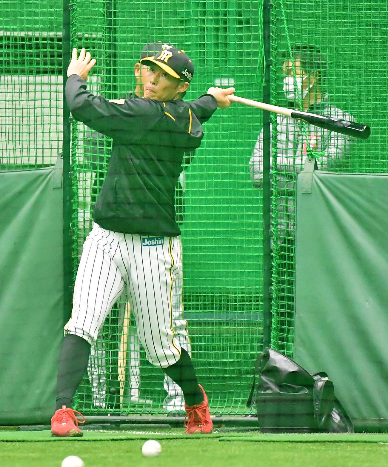 阪神糸井嘉男（2020年3月4日撮影）