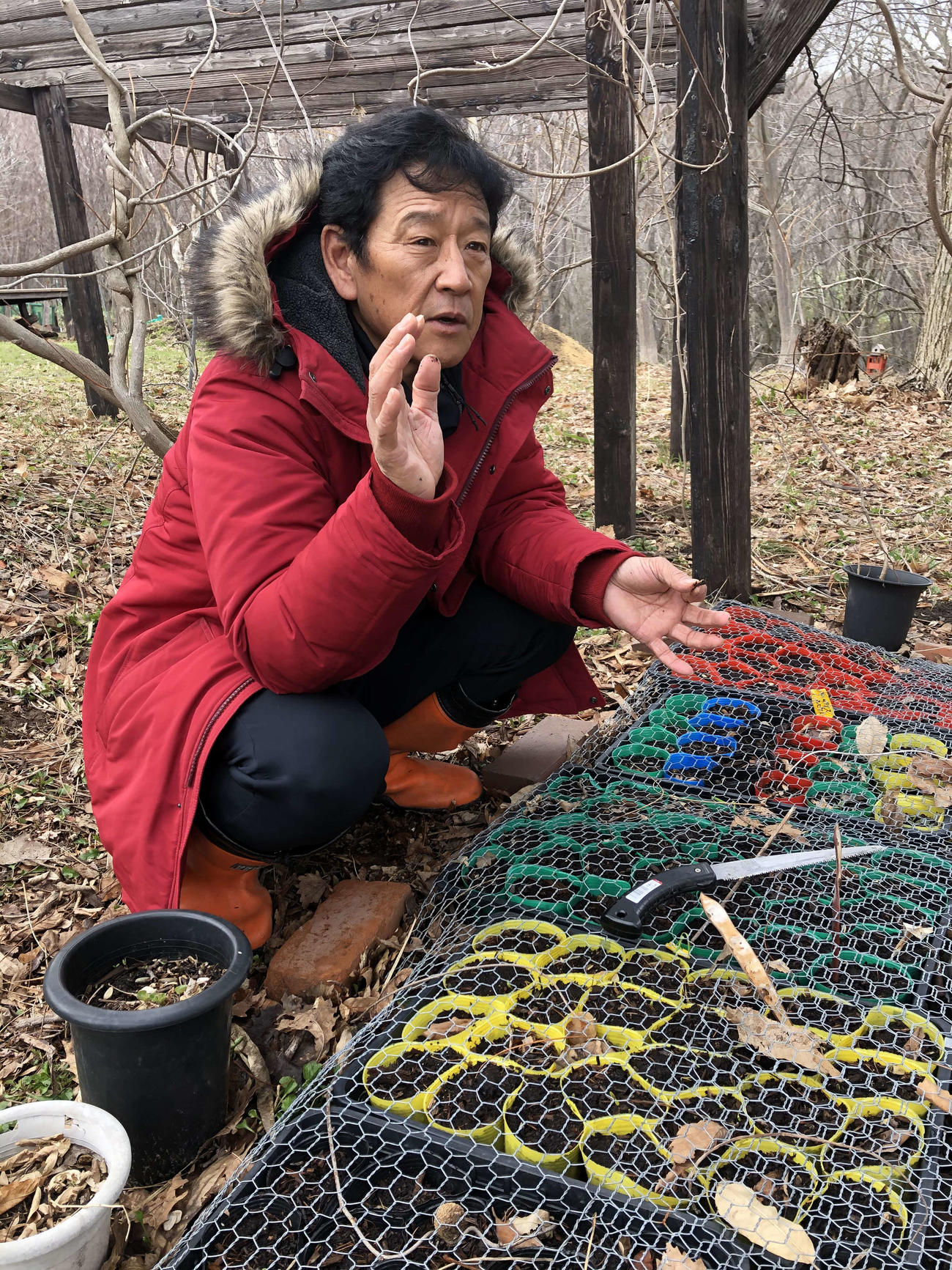 苗木の手入れをする日本ハム栗山英樹監督（球団提供）