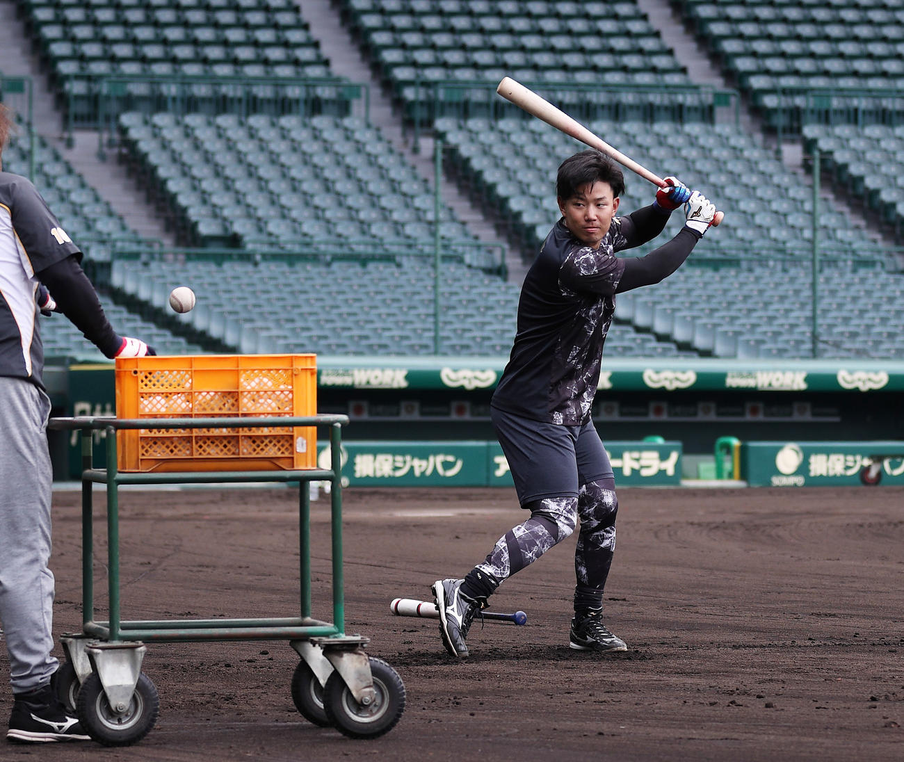 甲子園で自主練習を行う糸原健斗（球団提供）
