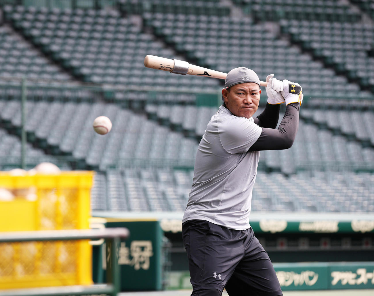 甲子園で自主練習を行う福留（球団提供）