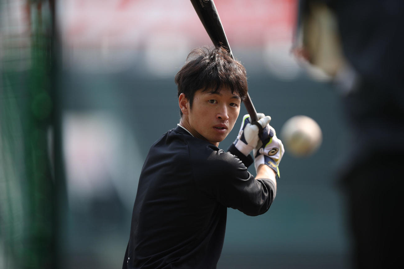 甲子園球場で自主練習を行う阪神近本（球団提供）