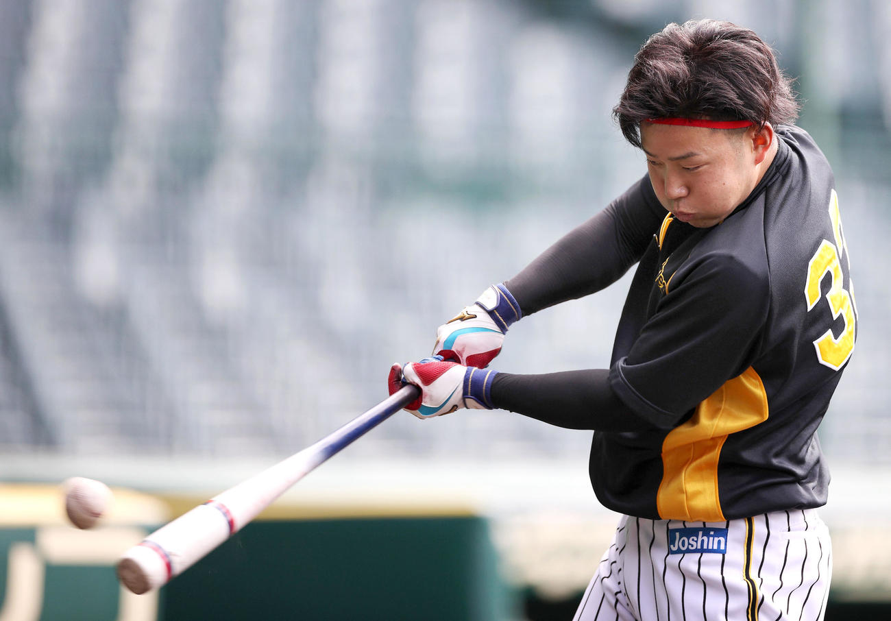 ほおを膨らませティー打撃をする糸原（阪神タイガース提供）