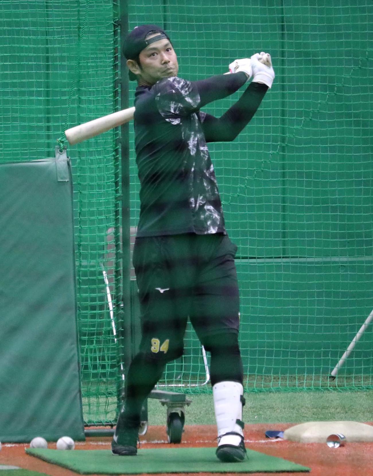 甲子園球場で自主トレする原口文仁（球団提供）