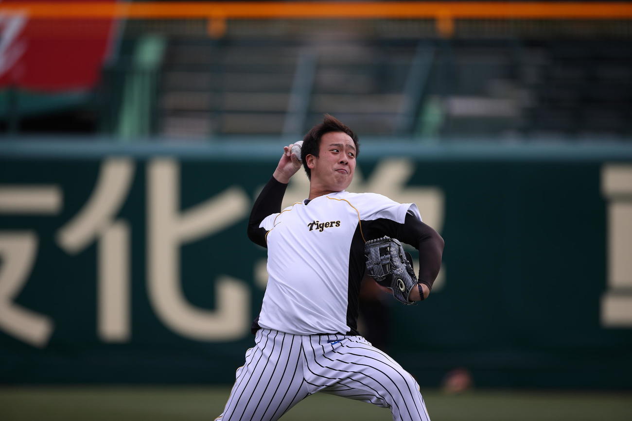 自主練習で汗を流す谷川（球団提供）
